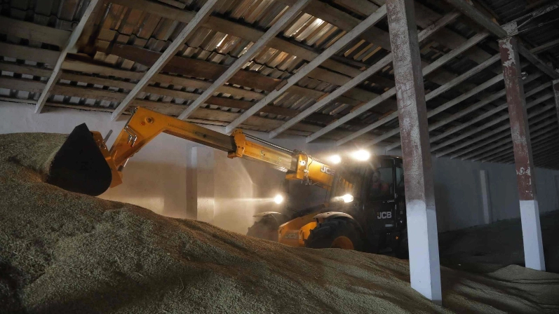 В Україні зареєстровано майже 900 нових агропідприємств з початку 2026 року